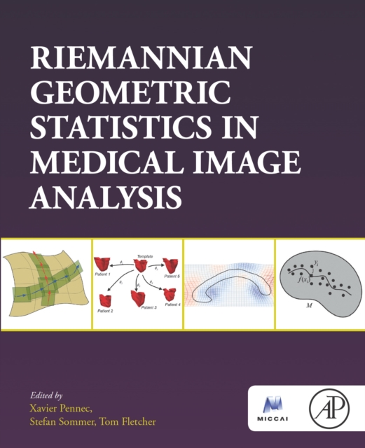 Riemannian Geometric Statistics in Medical Image Analysis, EPUB eBook