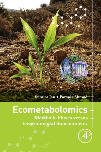 Ecometabolomics : Metabolic Fluxes versus Environmental Stoichiometry, EPUB eBook