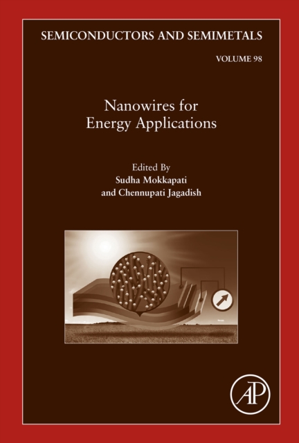 Nanowires for Energy Applications, EPUB eBook