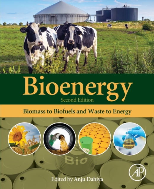Bioenergy : Biomass to Biofuels and Waste to Energy, Paperback / softback Book