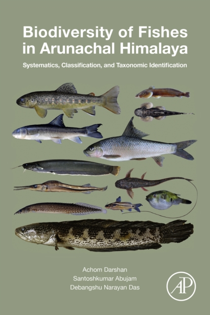 Biodiversity of Fishes in Arunachal Himalaya : Systematics, Classification, and Taxonomic Identification, EPUB eBook