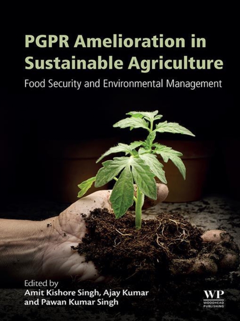 PGPR Amelioration in Sustainable Agriculture : Food Security and Environmental Management, EPUB eBook
