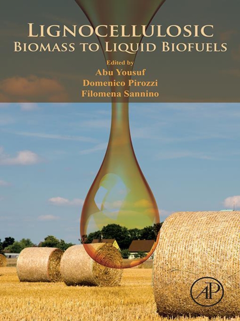 Lignocellulosic Biomass to Liquid Biofuels, EPUB eBook