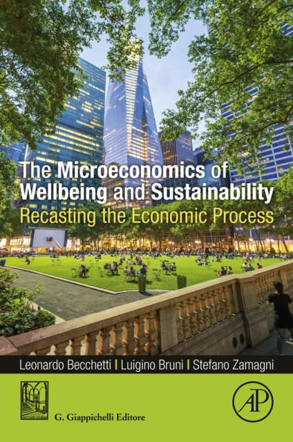 The Microeconomics of Wellbeing and Sustainability : Recasting the Economic Process, EPUB eBook