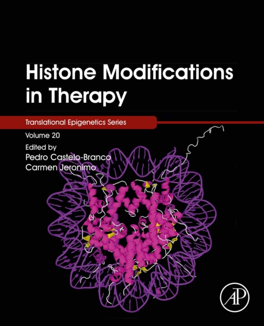 Histone Modifications in Therapy, EPUB eBook