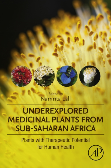 Underexplored Medicinal Plants from Sub-Saharan Africa : Plants with Therapeutic Potential for Human Health, EPUB eBook
