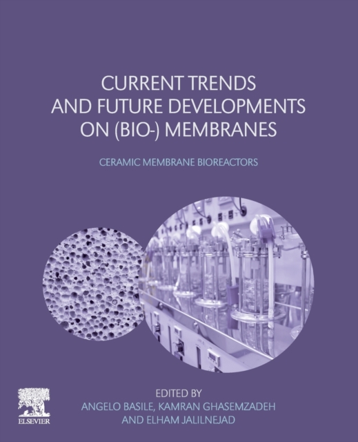 Current Trends and Future Developments on (Bio-) Membranes : Ceramic ...