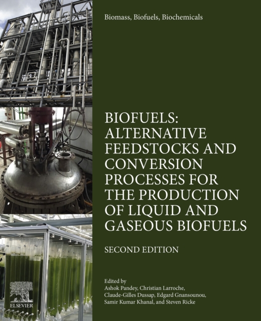 Biomass, Biofuels, Biochemicals : Biofuels: Alternative Feedstocks and Conversion Processes for the Production of Liquid and Gaseous Biofuels, EPUB eBook