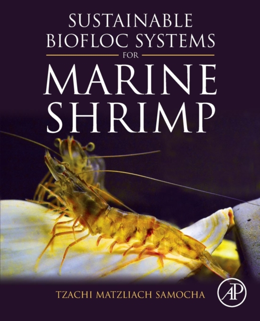 Sustainable Biofloc Systems for Marine Shrimp, Paperback / softback Book