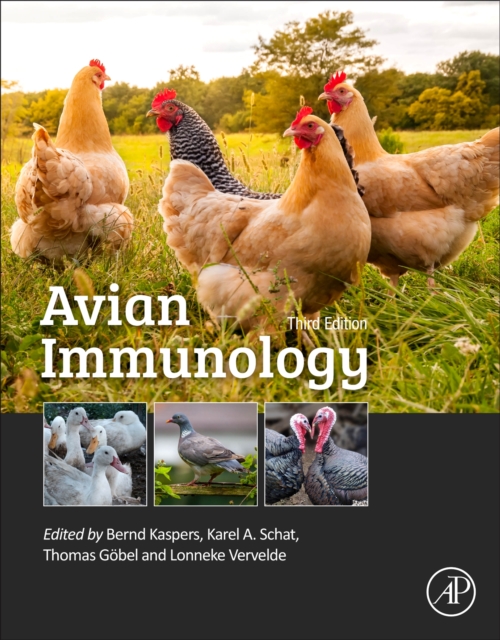 Avian Immunology, Paperback / softback Book
