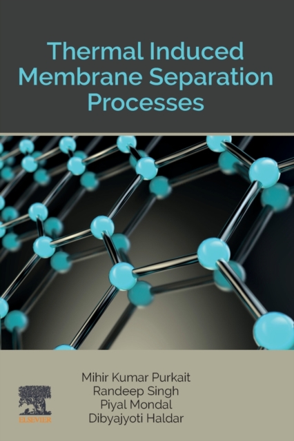 Thermal Induced Membrane Separation Processes, Paperback / softback Book