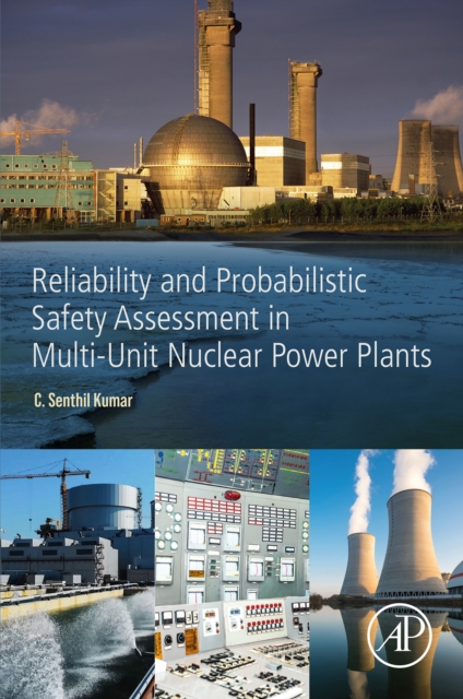 Reliability and Probabilistic Safety Assessment in Multi-Unit Nuclear Power Plants, EPUB eBook