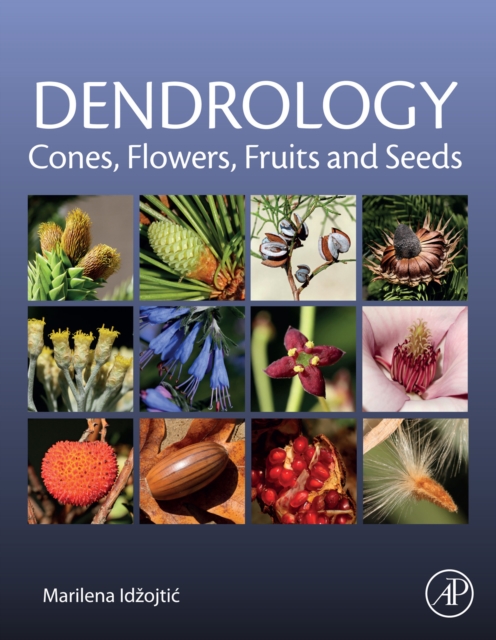 Dendrology: Cones, Flowers, Fruits and Seeds, EPUB eBook