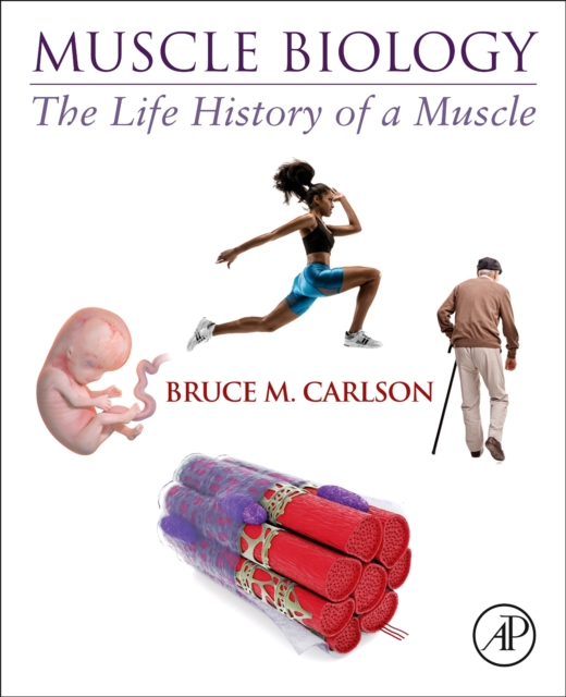 Muscle Biology : The Life History of a Muscle, Paperback / softback Book