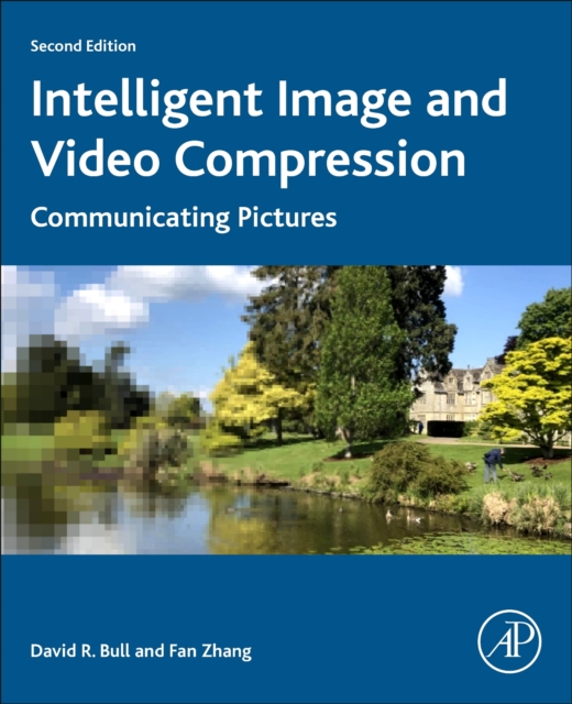 Intelligent Image and Video Compression : Communicating Pictures, Paperback / softback Book