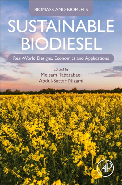 Sustainable Biodiesel : Real World Designs, Economics and Applications, Paperback / softback Book