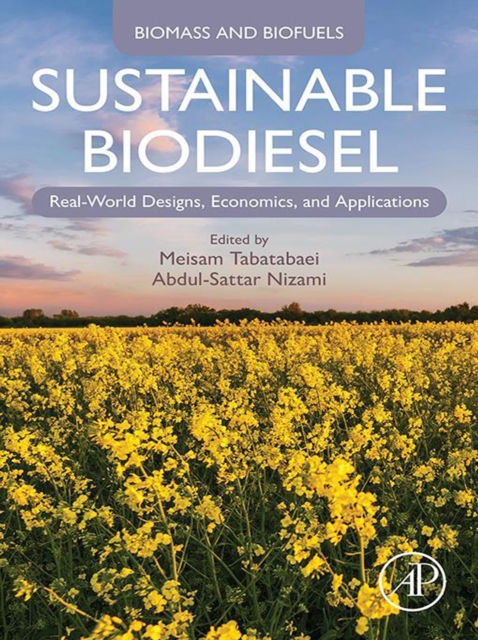 Sustainable Biodiesel : Real-World Designs, Economics, and Applications, EPUB eBook