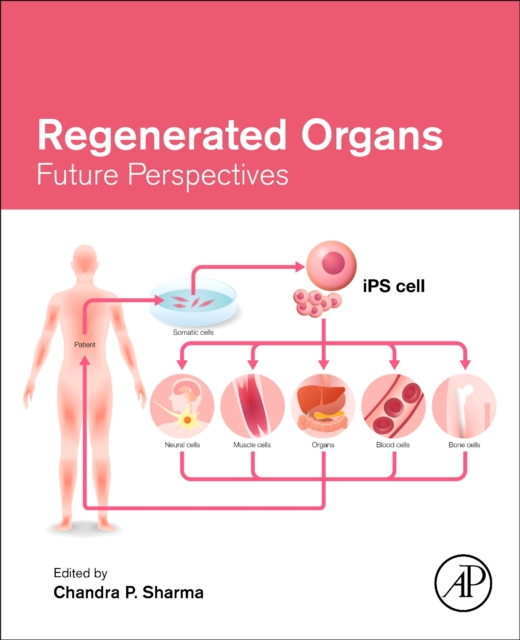 Regenerated Organs : Future Perspectives, Paperback / softback Book