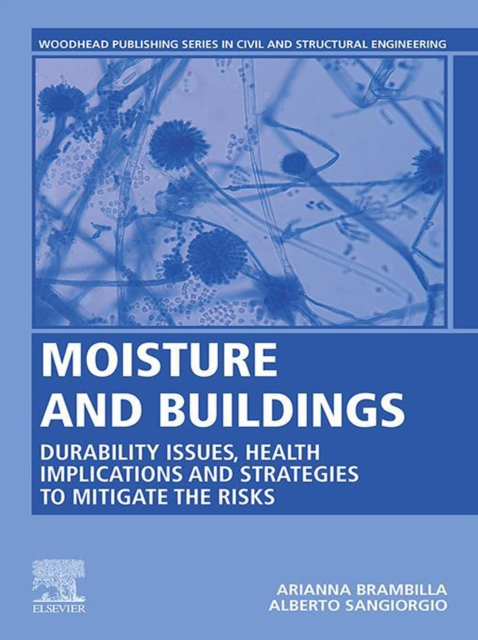 Moisture and Buildings : Durability Issues, Health Implications and Strategies to Mitigate the Risks, EPUB eBook
