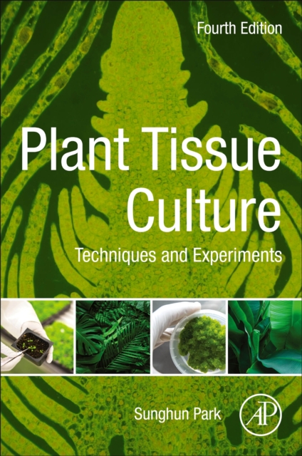 Plant Tissue Culture : Techniques and Experiments, Paperback / softback Book