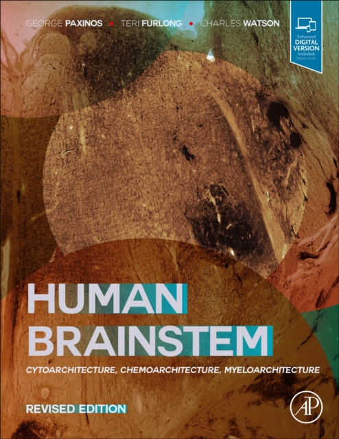 Human Brainstem : Cytoarchitecture, Chemoarchitecture, Myeloarchitecture, EPUB eBook