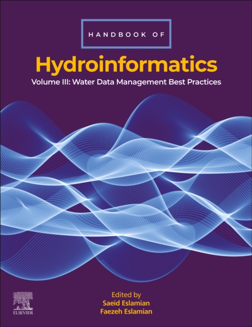 Handbook of HydroInformatics : Volume III: Water Data Management Best Practices, Paperback / softback Book