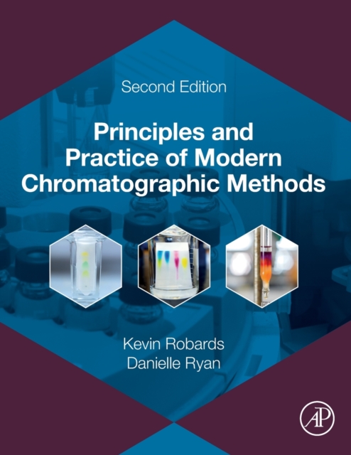 Principles and Practice of Modern Chromatographic Methods, Paperback / softback Book