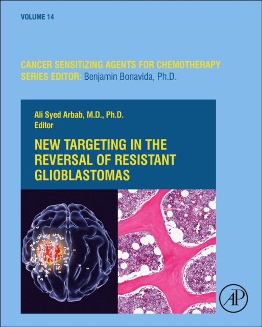New Targeting in The Reversal of Resistant Glioblastomas : Volume 14, Hardback Book