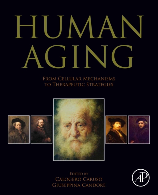 Human Aging : From Cellular Mechanisms to Therapeutic Strategies, EPUB eBook