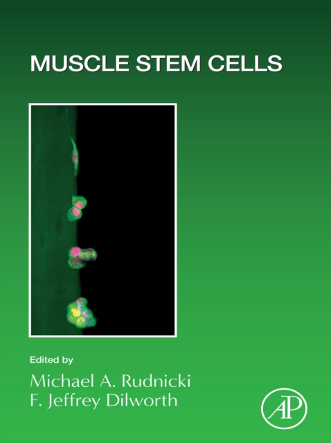 Muscle Stem Cells, EPUB eBook
