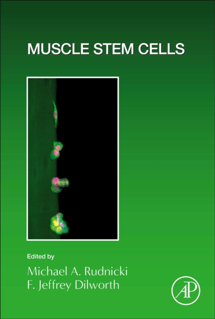 Muscle Stem Cells : Volume 158, Hardback Book