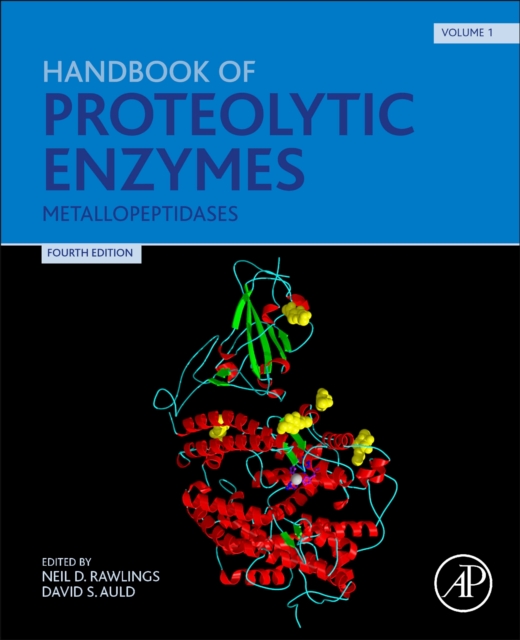 Handbook of Proteolytic Enzymes : Metallopeptidases, Paperback / softback Book