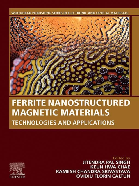 Ferrite Nanostructured Magnetic Materials : Technologies and Applications, EPUB eBook