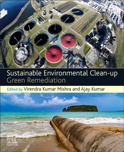Sustainable Environmental Clean-up : Green Remediation, Paperback / softback Book