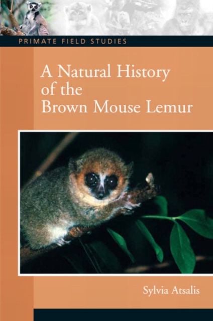 A Natural History of the Brown Mouse Lemur, Paperback / softback Book