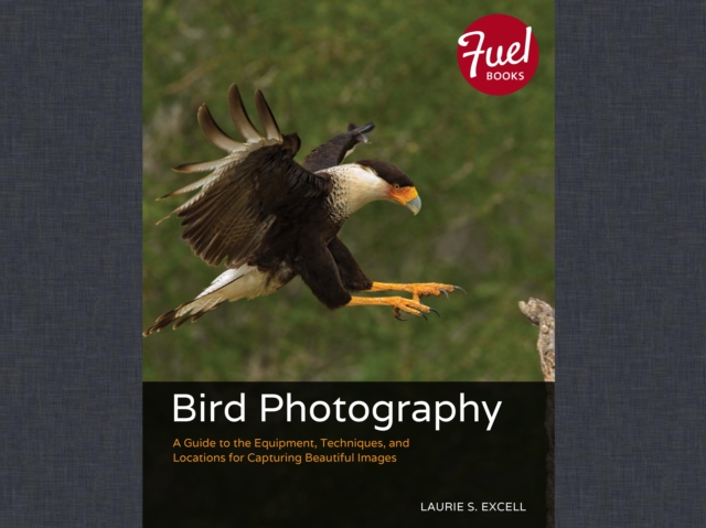 Bird Photography : A Guide to the Equipment, Techniques, and Locations for Capturing Beautiful Images, EPUB eBook