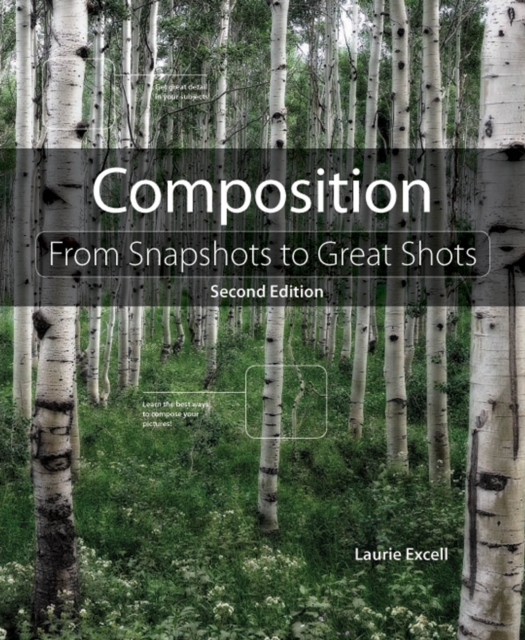 Composition : From Snapshots to Great Shots, PDF eBook