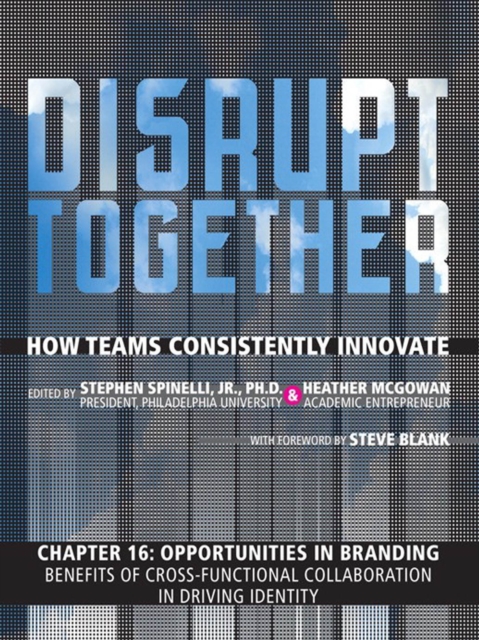 Opportunities in Branding - Benefits of Cross-Functional Collaboration in Driving Identity (Chapter 16 from Disrupt Together), PDF eBook