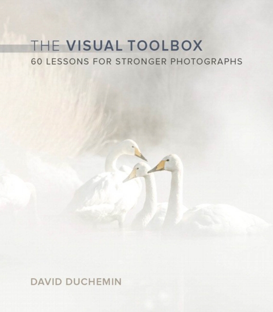 Visual Toolbox, The : 60 Lessons for Stronger Photographs, PDF eBook
