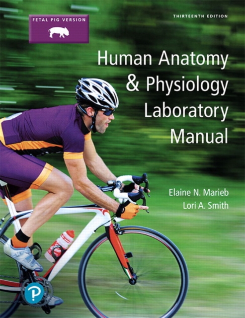Human Anatomy & Physiology Laboratory Manual, Fetal Pig Version, Paperback / softback Book