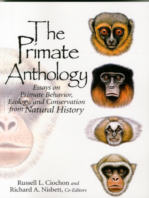The Primate Anthology : Essays on Primate Behavior, Ecology and Conservation from Natural History, Paperback / softback Book