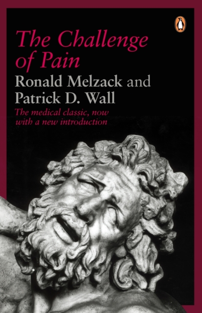 The Challenge of Pain, Paperback / softback Book