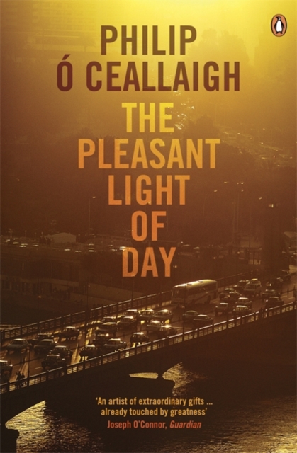 The Pleasant Light of Day, Paperback / softback Book