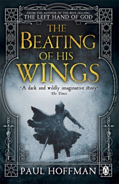 The Beating of his Wings, Paperback / softback Book