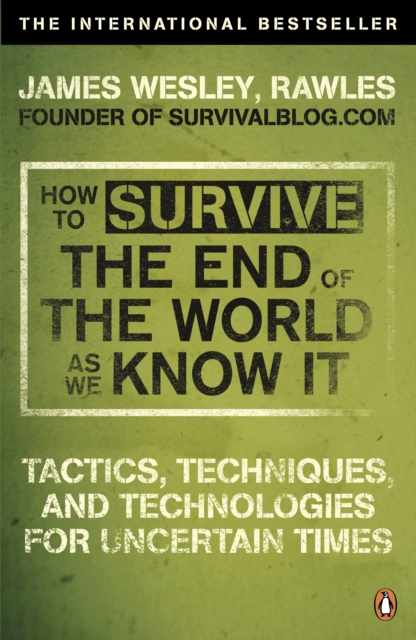 How to Survive The End Of The World As We Know It : From Financial Crisis to Flu Epidemic, EPUB eBook