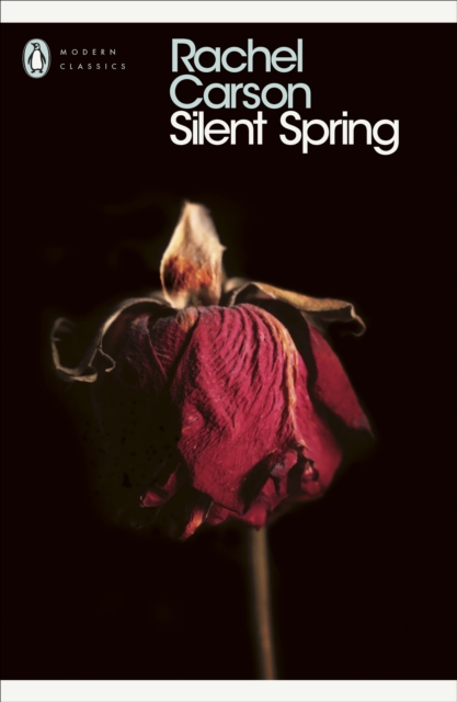 Silent Spring, Paperback / softback Book