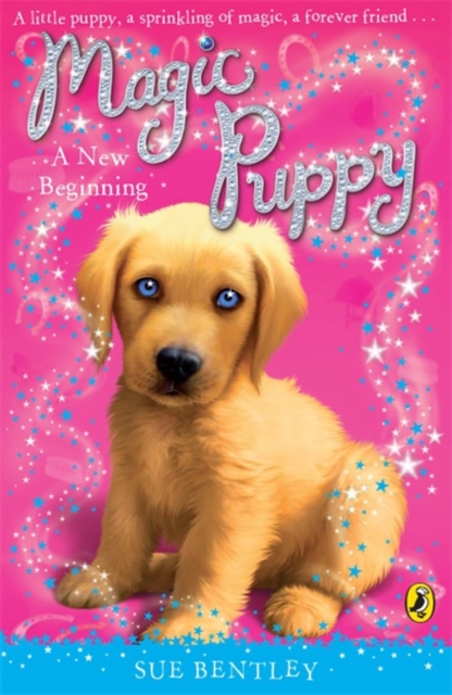 Magic Puppy: A New Beginning, Paperback / softback Book
