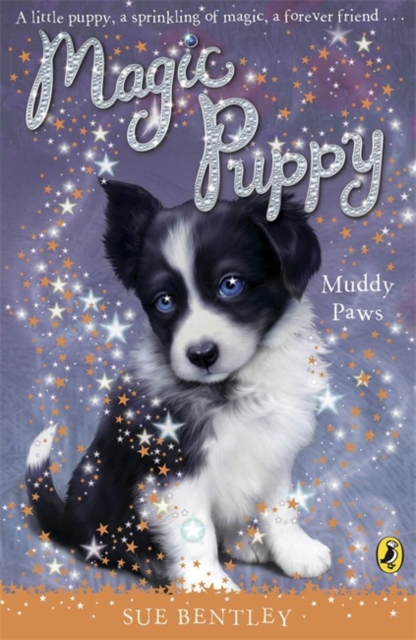 Magic Puppy: Muddy Paws, Paperback / softback Book