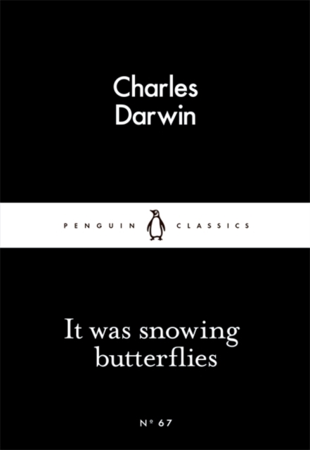 It Was Snowing Butterflies, Paperback / softback Book