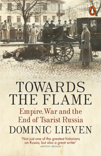 Towards the Flame : Empire, War and the End of Tsarist Russia, Paperback / softback Book